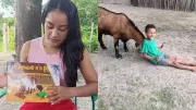 Amizade de menino de 7 anos com bode vira livro escrito pela irmã de 14