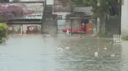 Apac mantém alerta vermelho para chuvas fortes em Pernambuco até quarta-feira