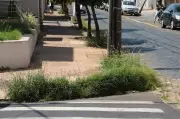 Araraquara publica editais de intimação para limpeza de terrenos e calçadas