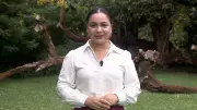 Assista ao Amazônia Agro Amazonas deste domingo 26 de abril de 2026