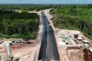 Avenida Liberdade em Belém: Obra polêmica avança sobre floresta e gera conflitos ambientais