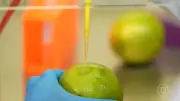 Biodetergente brasileiro revoluciona conservação de alimentos e reduz desperdício