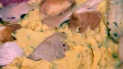 Bolinho de frango de Itapetininga: tradição que evolui mantendo sabor histórico