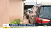 Bom Dia SC: Vídeos de sexta-feira, 24 de abril de 2026