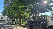 Bragança Paulista inicia força-tarefa de zeladoria urbana com foco no Centro