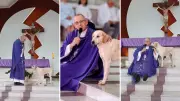 Cachorro 'Caramelo' se torna fiel assíduo em missas e encanta padre no Paraná