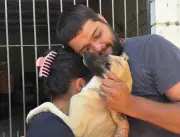Cachorro desaparecido há 4 meses reencontra tutores em mutirão de castração em SC