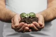 Café de veleiro: compradores rejeitam navio por sustentabilidade em MG