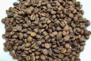 Café: do ritual matinal à gastronomia, bebida inspira receitas e molda história no Oeste Paulista