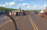 Caminhão com 35 cabeças de gado tomba em estrada de SP; três animais morrem