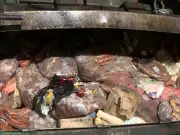 Campinas: 3 toneladas de carne estragada são apreendidas em açougue
