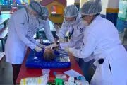 Campo Grande abre seleção para preceptores em saúde do projeto Qualifica APS da Fiocruz