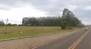 Capivara é atropelada por caminhão na SP-245 em Cerqueira César
