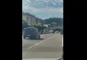Cavalo solto em avenida movimentada de Itaperuna gera apreensão entre motoristas