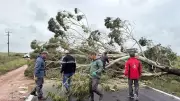 Ciclone extratropical suspende aulas e causa estragos com ventos acima de 100 km/h no RS
