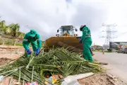 Ciclus Amazônia divulga calendário de coleta de entulho em conjuntos habitacionais de Belém para abril