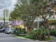 Câmara de SP aprova vagas verdes: árvores em ruas substituem estacionamento