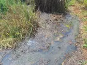 Copasa é indiciada por crime ambiental após vazamento de esgoto em área de preservação em Araxá