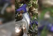 Corpo de comerciante desaparecido é encontrado em fossa no TO