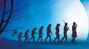 Corpo humano: um mosaico de adaptações evolutivas com custos e imperfeições