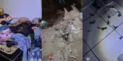 Criança de 3 anos é resgatada em situação de abandono e maus-tratos em Assis, SP