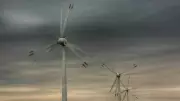 Crise no setor de energia renovável ameaça R$ 38,8 bilhões em investimentos no Nordeste