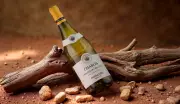 Decifre os Rótulos de Vinhos Franceses: Guia Completo para Iniciantes