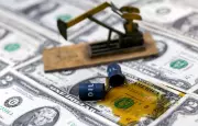 Dólar cai abaixo de R$ 5: especialistas recomendam compra fracionada e cautela