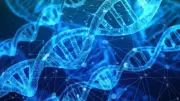 DNA do solo guia cultivo de café no Sul de Minas com análise metagenômica