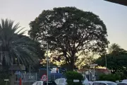 Domingo de calor intenso em Mato Grosso do Sul com temperaturas que podem chegar a 34°C