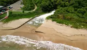 Drone revela poluição crítica no mangue de Fernando de Noronha, alertam pesquisadores