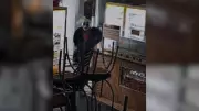 Dupla com máscara de palhaço invade lanchonete e furta dinheiro e bebidas em Uberlândia