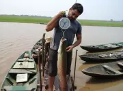 Estudo da Ufopa encontra metais tóxicos em peixes do Pará, mas não indica proibição de consumo