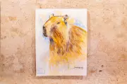 Exposição 'Cuiabá em Cores' celebra aniversário da capital com arte de 24 artistas locais