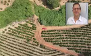 Farmacêutica de 74 anos desaparecida é encontrada morta em córrego em MG