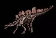 Fascínio por dinossauros: novo livro revela mistério que encanta crianças e adultos