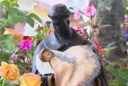 Festa de São Benedito reúne milhares de devotos em Guaratinguetá e outras cidades do Vale do Paraíba