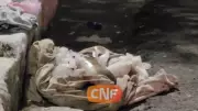 Feto humano é encontrado em meio ao lixo em Caruaru, e polícia investiga caso