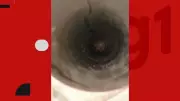 Filhote de cachorro é resgatado de tubulação no Sertão da Paraíba após operação dos bombeiros