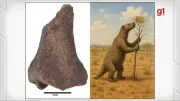 Fóssil de preguiça gigante de 33 mil anos é descoberto por pesquisadores da UFPI no Piauí
