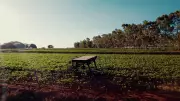 Gestão de risco no agro: como tecnologia e planejamento protegem o futuro da produção