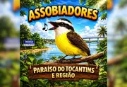 Grupo de assobio no WhatsApp viraliza em cidade do Tocantins