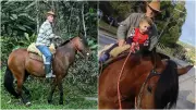 Égua relincha e emociona familiares durante velório do dono em Blumenau