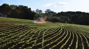 Guerra no Irã ameaça fertilizantes e pode elevar preço de alimentos no Brasil