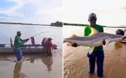 Guia de pesca captura piraíba gigante no Rio Araguaia e solta peixe protegido por lei