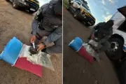 Haxixe escondido em travesseiro e corpete: dois presos por tráfico em ônibus na SP-270