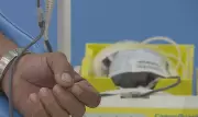 Hemope e CTM oferecem transporte gratuito para doação de sangue em PE