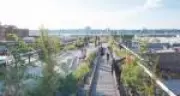 High Line de Nova York: Como um parque suspenso inspirou 46 projetos nos EUA