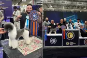 Higor Soto vence categoria Poodle Profissional na Petnor 2025 em Santos