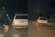 Homem arrasta cachorro amarrado a carro e animal morre no Paraná